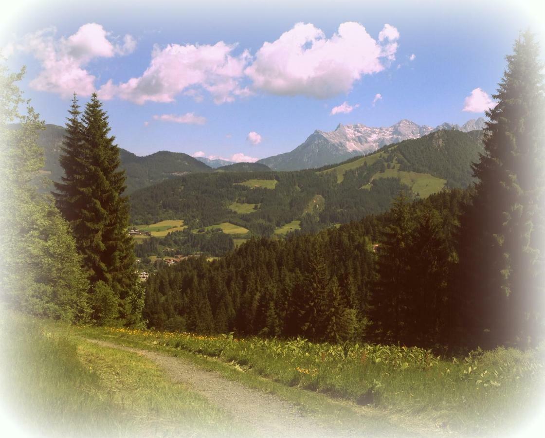 Knusperhaeuschen Apartment Kirchberg in Tirol